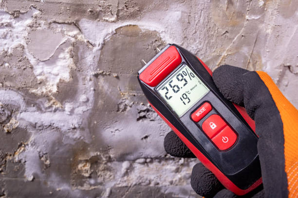Best Professional Mold Removal  in Big Bear Lake, CA