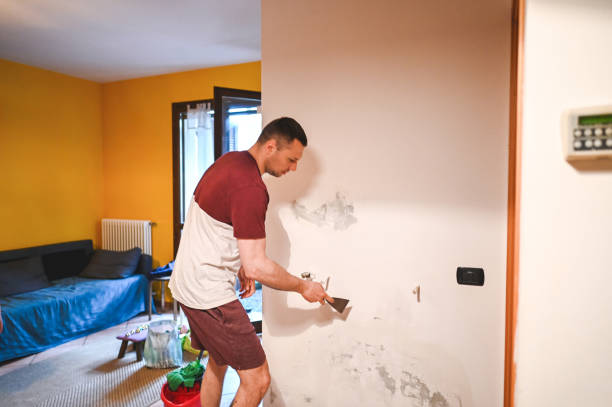 Best Fast Mold Removal  in Big Bear Lake, CA
